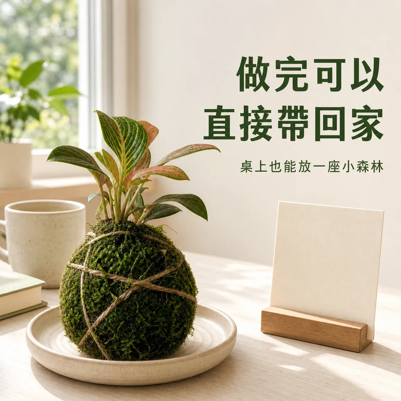 成品展示