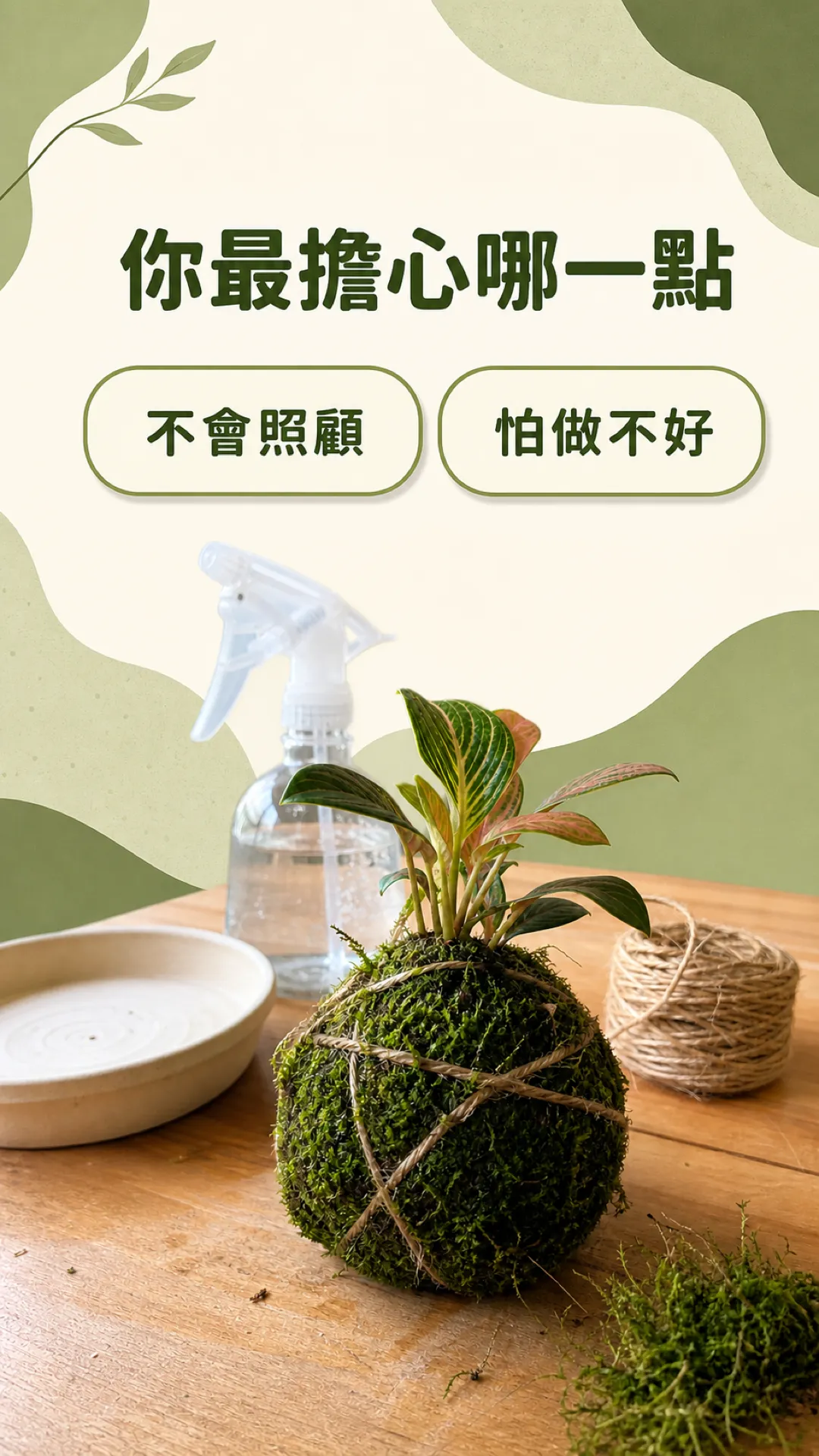 限動問答