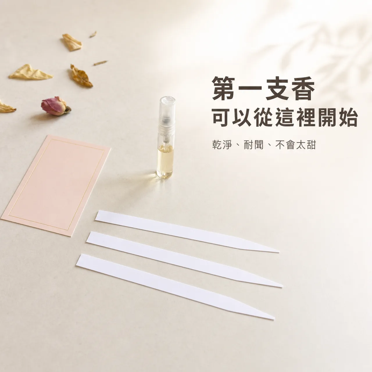 入門推薦